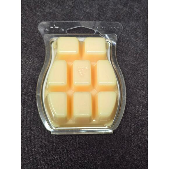 Authentic Scentsy Blue Watercolor Electric Wax Warmer w Berry & Strawberry Melts - Picture 4 of 12